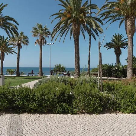 Akisol Armacao Pera In